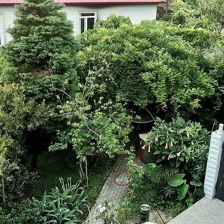 Tj Guest House Makhinjauri Ngoại thất bức ảnh