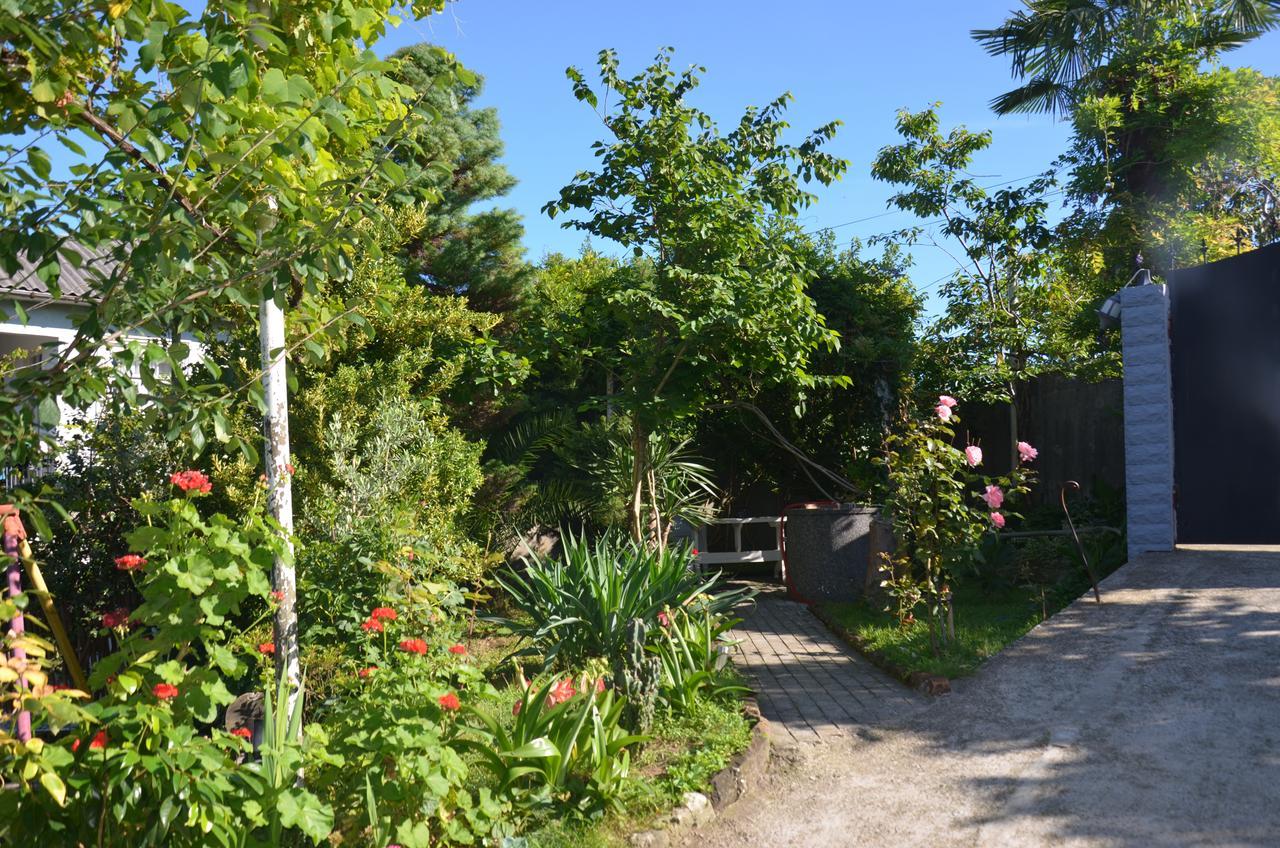 Tj Guest House Makhinjauri Ngoại thất bức ảnh