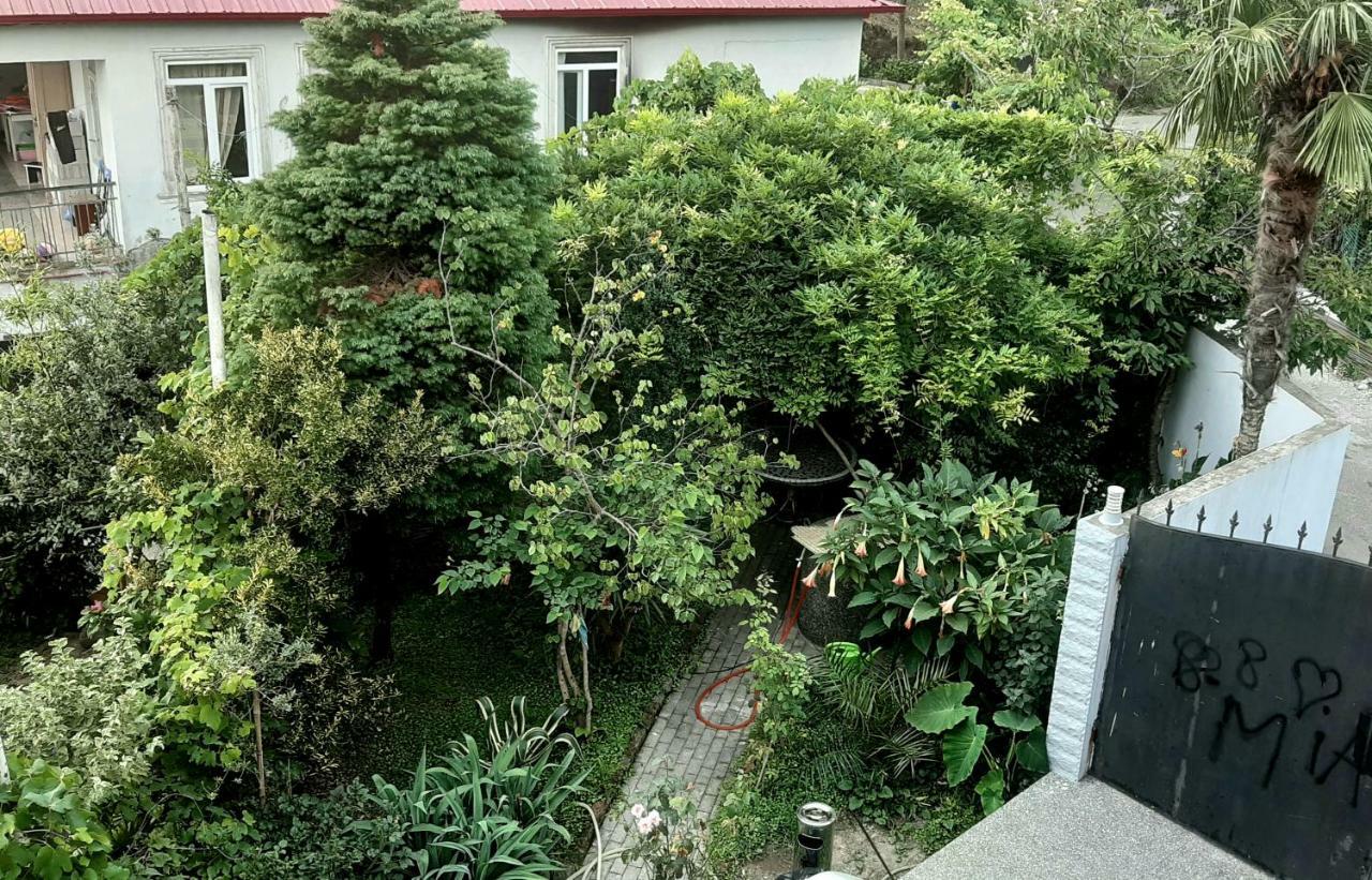 Tj Guest House Makhinjauri Ngoại thất bức ảnh